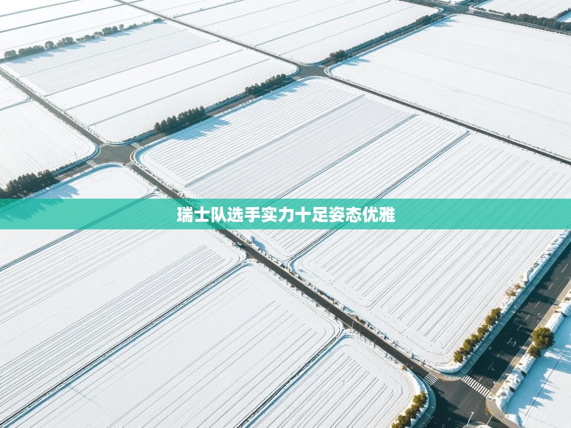 瑞士队选手实力十足姿态优雅 第1张