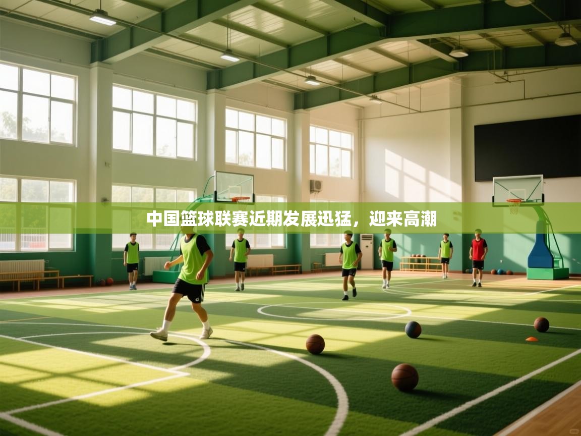 中国篮球联赛近期发展迅猛,迎来高潮 第2张